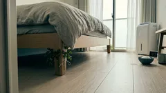 寝室のベッド脚にパセリ？SNS発「金運ルーティン」を誤解なく整理（やり方・気分への作用・湿気対策）